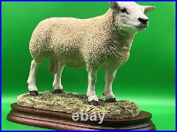 Border Fine Arts Figurine Texel Ram #B0530 Boxed A1 Condition 20cm Tall COA