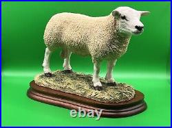 Border Fine Arts Figurine Texel Ram #B0530 Boxed A1 Condition 20cm Tall COA