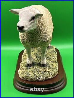 Border Fine Arts Figurine Texel Ram #B0530 Boxed A1 Condition 20cm Tall COA