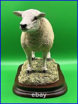 Border Fine Arts Figurine Texel Ram #B0530 Boxed A1 Condition 20cm Tall COA