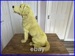 Border Fine Arts Fireside Yellow Labrador Retriever 111004 COLLECTABLE