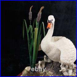 Border Fine Arts First One In Swan & Cygnets Figurine 1997 Handmade Scotland