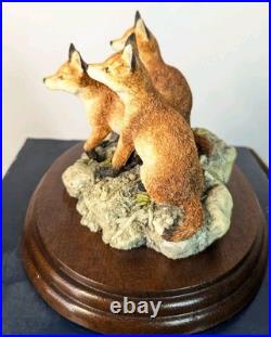 Border Fine Arts First Time Out 1993 BFA206 Fox Cubs Boxed