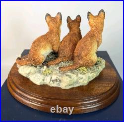 Border Fine Arts First Time Out 1993 BFA206 Fox Cubs Boxed