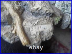 Border Fine Arts'Flash and Lightening' B0668 by Ray Ayres 141/ 1250