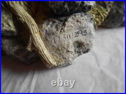 Border Fine Arts'Flash and Lightening' B0668 by Ray Ayres 393/ 1250 with Cert