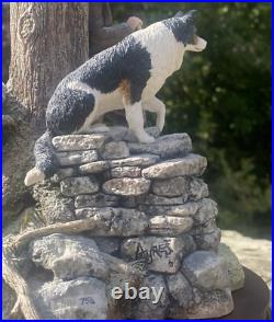 Border Fine Arts'Flash and Lightening' B0668 by Ray Ayres 765/ 1250 Box&Cert