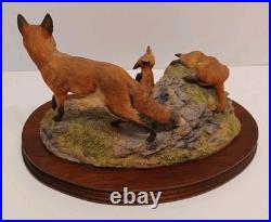 Border Fine Arts'Fox And Family'. Edition 93/1500 Model No L53