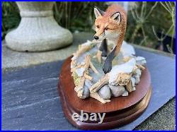 Border Fine Arts Fox Model'KEEPING HIS FEET DRY' #B0225 by R Roberts COA Boxed