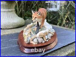 Border Fine Arts Fox Model'KEEPING HIS FEET DRY' #B0225 by R Roberts COA Boxed