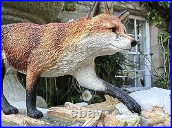 Border Fine Arts Fox Model'KEEPING HIS FEET DRY' #B0225 by R Roberts COA Boxed