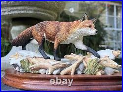 Border Fine Arts Fox Model'KEEPING HIS FEET DRY' #B0225 by R Roberts COA Boxed