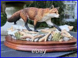 Border Fine Arts Fox Model'KEEPING HIS FEET DRY' #B0225 by R Roberts COA Boxed