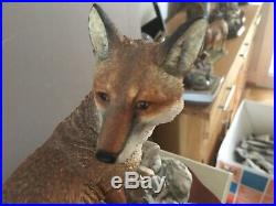 Border Fine Arts Fox The Last Look Limited Edition No 535 With Certs