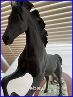Border Fine Arts Fred Stone Ltd Ed. 415/3500 The Return Of The Black Stallion