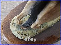 Border Fine Arts German Shepherd Rare 1982 by Ray Ayres (supplied with base)