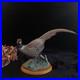 Border-Fine-Arts-Good-Pheasant-Figurine-RW-2000-Russell-Willis-Rare-Bird-Statue-01-cnz