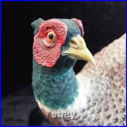 Border Fine Arts Good Pheasant Figurine RW 2000 Russell Willis Rare Bird Statue Border Fine Arts Good Pheasant Figurine RW 2000 Russell Willis Rare Bird Statue