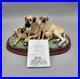 Border-Fine-Arts-Great-Dane-Pups-B0653-Limited-Edition-279-950-COA-01-do