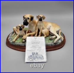 Border Fine Arts Great Dane & Pups B0653 Limited Edition 279 / 950 COA Border Fine Arts Great Dane & Pups B0653 Limited Edition 279 / 950 COA