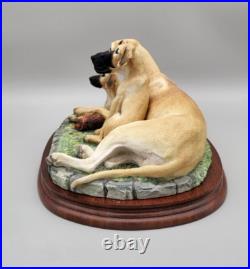 Border Fine Arts Great Dane & Pups B0653 Limited Edition 279 / 950 COA Border Fine Arts Great Dane & Pups B0653 Limited Edition 279 / 950 COA
