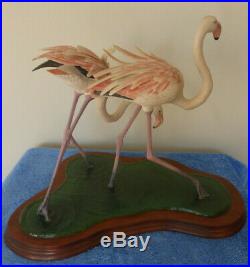 Border Fine Arts Greater Flamingos Limited Edition