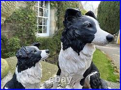Border Fine Arts Group of a Sheep Dog and Puppy by M Turner