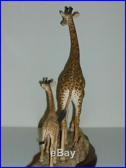 Border Fine Arts HIGH BROWSERS Giraffes LIMITED EDITION