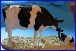 Border Fine Arts HOLSTEIN FRIESAN COW and CALF B 309 LIMITED EDITION