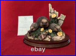 Border Fine Arts Hedgerow Adventure With C. O. A By Ray Ayres B0949