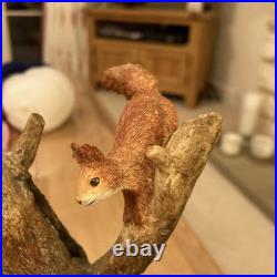 Border Fine Arts Hidden Treasures B1026 Badger & Squirrels Figure Original Box