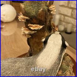 Border Fine Arts Hidden Treasures B1026 Badger & Squirrels Figure Original Box Border Fine Arts Hidden Treasures B1026 Badger & Squirrels Figure Original Box