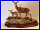 Border-Fine-Arts-Highland-Family-Deer-Hind-Calf-By-Richard-Roberts-01-nkmk