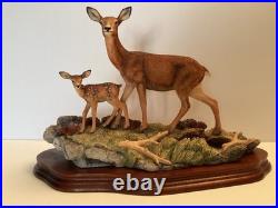 Border Fine Arts Highland Family Deer Hind & Calf By Richard Roberts