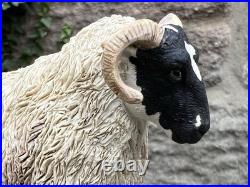 Border Fine Arts Holding Her Ground Limited Edition figure B0198 James Herriot