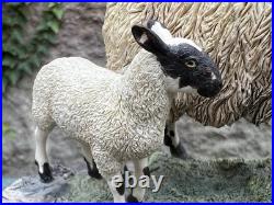 Border Fine Arts Holding Her Ground Limited Edition figure B0198 James Herriot