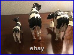Border Fine Arts Holstein Friesian. Cattle Cow, Calf, And Bull Boxed