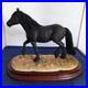 Border-Fine-Arts-Horse-Cumbrian-Fell-Pony-LE-750-Resin-Figurine-With-Plinth-01-ar