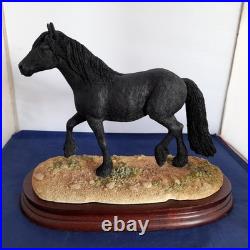 Border Fine Arts Horse Cumbrian Fell Pony LE 750 Resin Figurine With Plinth