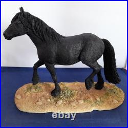 Border Fine Arts Horse Cumbrian Fell Pony LE 750 Resin Figurine With Plinth