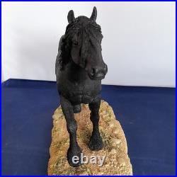 Border Fine Arts Horse Cumbrian Fell Pony LE 750 Resin Figurine With Plinth
