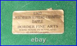 Border Fine Arts Horse Percheron Supreme Champion L160d Boxed & Certificate