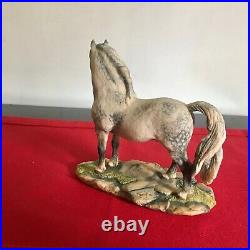 Border Fine Arts Horse WELSH MOUNTAIN PONY rare