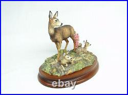 Border Fine Arts In A Sunny Glade BO255 Red Deer & Young Fawns 1998 by R Ayres