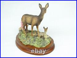 Border Fine Arts In A Sunny Glade BO255 Red Deer & Young Fawns 1998 by R Ayres