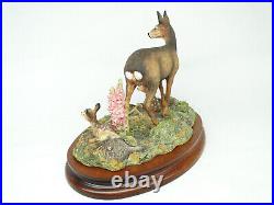 Border Fine Arts In A Sunny Glade BO255 Red Deer & Young Fawns 1998 by R Ayres