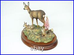 Border Fine Arts In A Sunny Glade BO255 Red Deer & Young Fawns 1998 by R Ayres