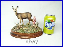 Border Fine Arts In A Sunny Glade BO255 Red Deer & Young Fawns 1998 by R Ayres