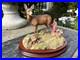 Border-Fine-Arts-In-A-Sunny-Glade-BO255-Red-Hind-Deer-Fawns-1998-by-R-Ayres-01-ff