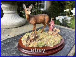 Border Fine Arts In A Sunny Glade BO255 Red Hind Deer & Fawns 1998 by R Ayres Border Fine Arts In A Sunny Glade BO255 Red Hind Deer & Fawns 1998 by R Ayres